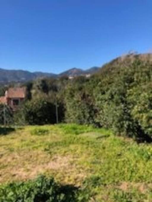 Villa En Corse Du Sud Entre Mer Et Montagne Peri Eksteriør billede